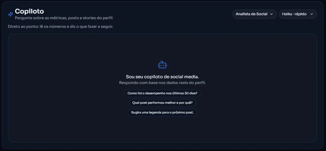 Copiloto: pergunte qualquer coisa sobre os dados do perfil (dados fictícios)